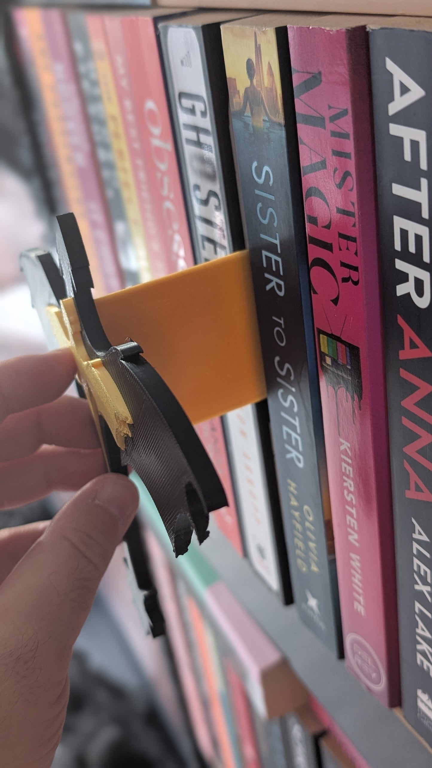 DRAGON DISPLAY - 3D PRINTED