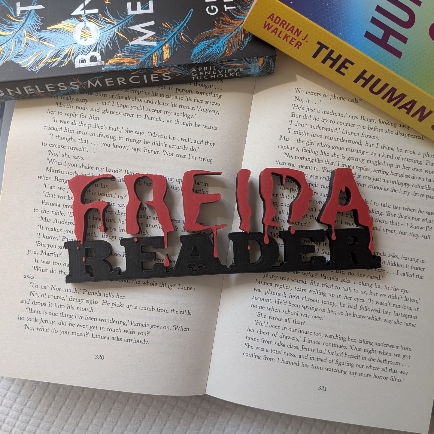 FREIDA READER - 3D PRINTED SIGN