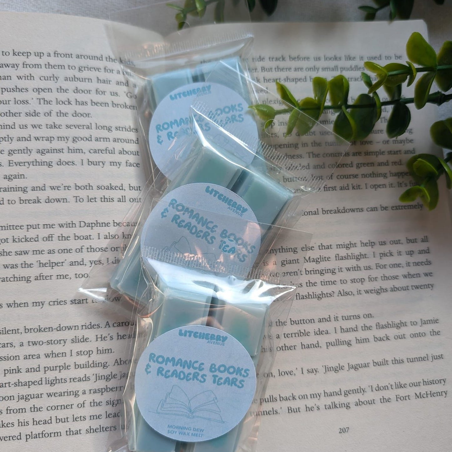 ROMANCE BOOKS & READERS TEARS - SOY WAX MELTS | LITCHERRY AVENUE X TANYPRINT