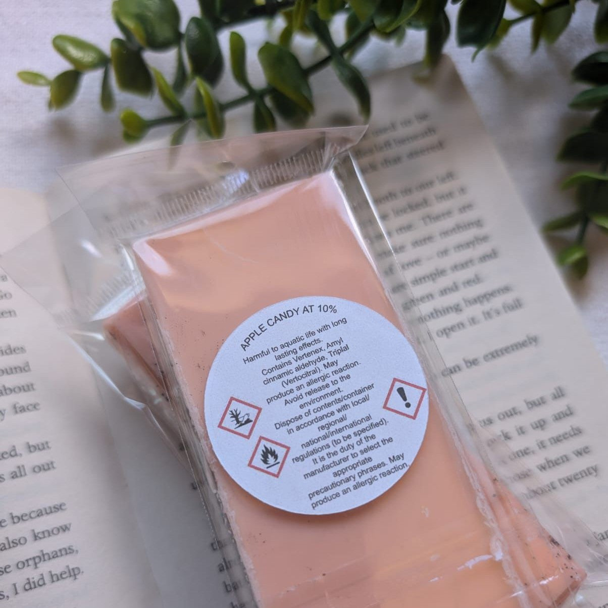 IN MY HORROR ERA - SOY WAX MELTS | LITCHERRY AVENUE X TANYPRINT