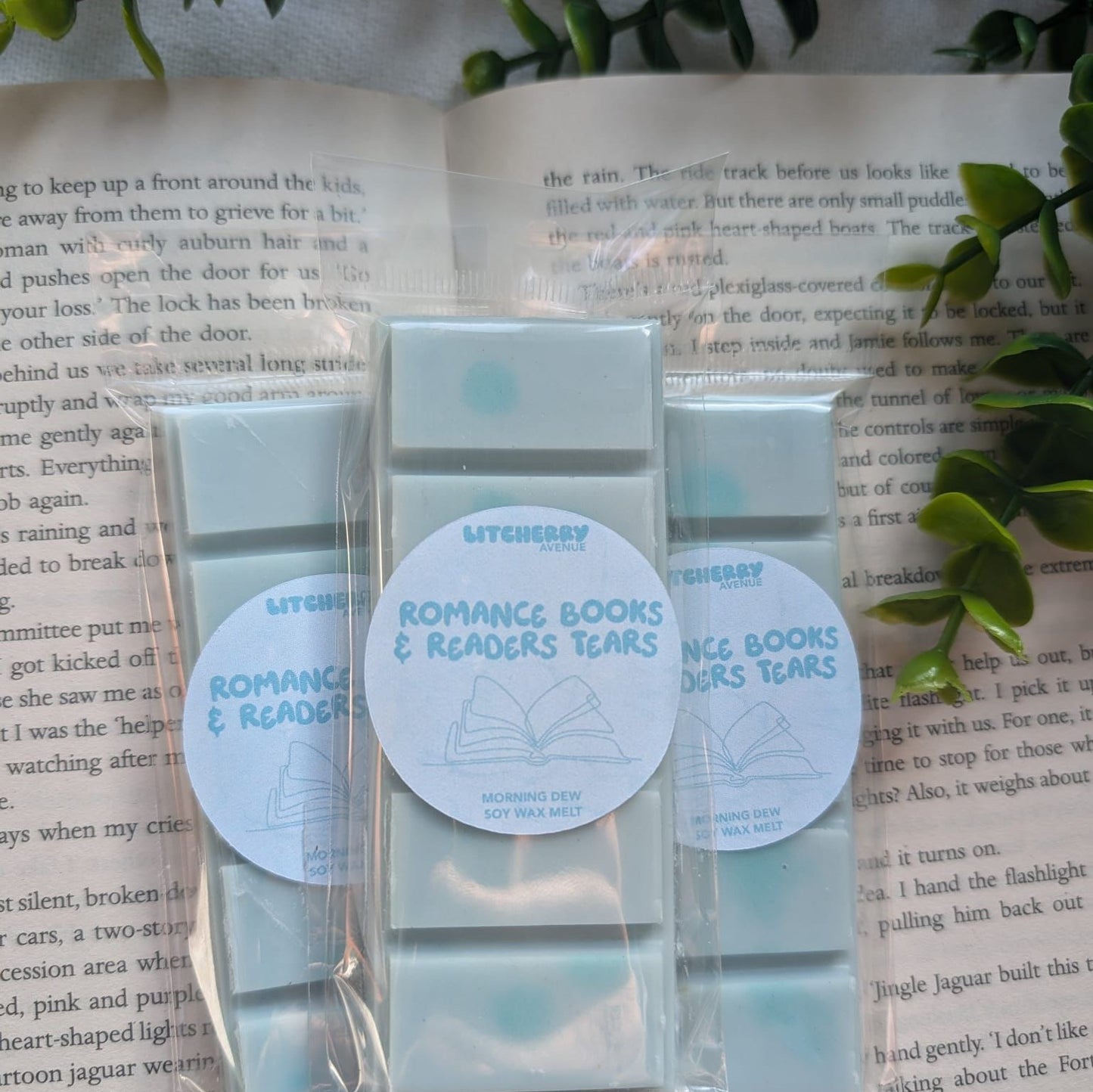 ROMANCE BOOKS & READERS TEARS - SOY WAX MELTS | LITCHERRY AVENUE X TANYPRINT