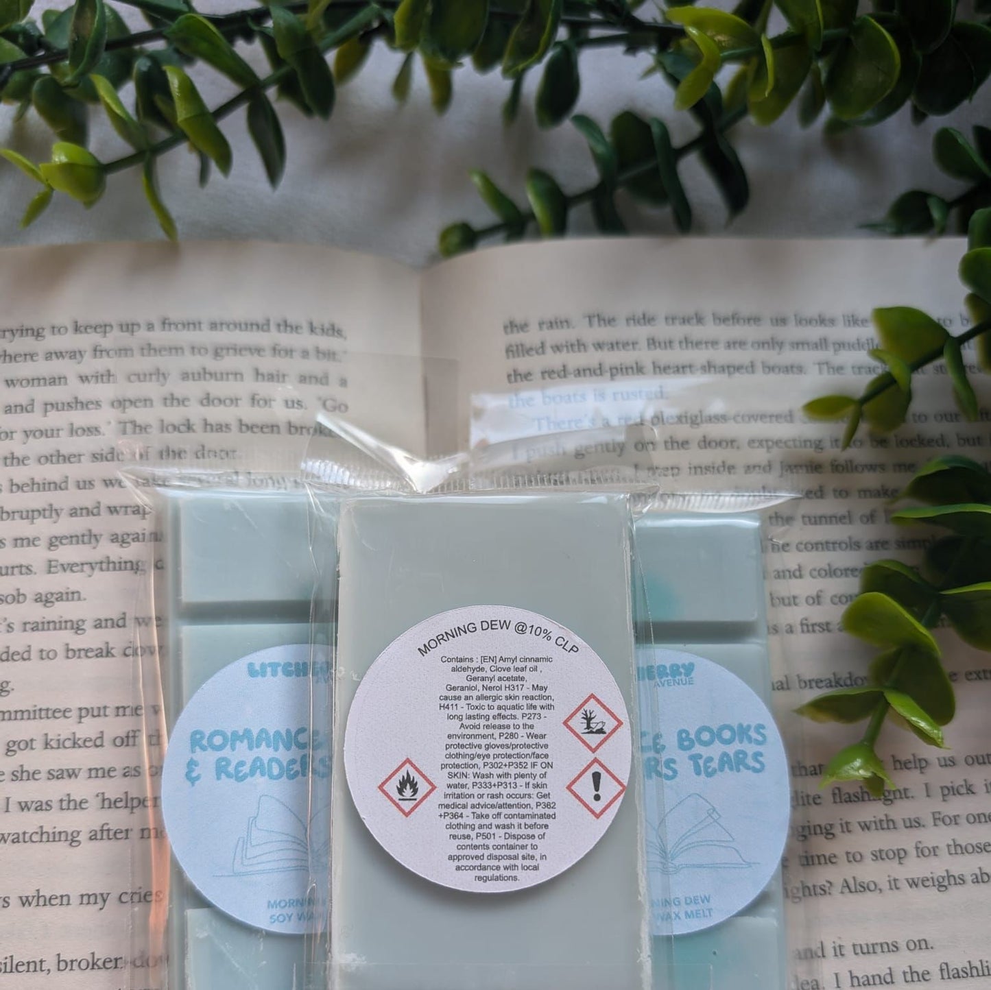 ROMANCE BOOKS & READERS TEARS - SOY WAX MELTS | LITCHERRY AVENUE X TANYPRINT