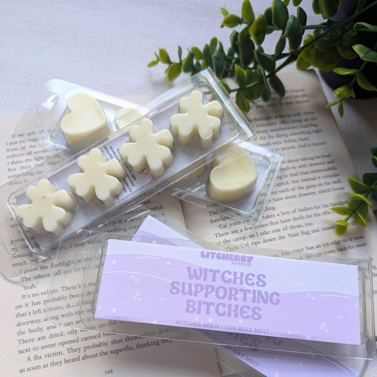 WITCHES SUPPORTING BITCHES - SOY WAX MELTS | LITCHERRY AVENUE X TANYPRINT