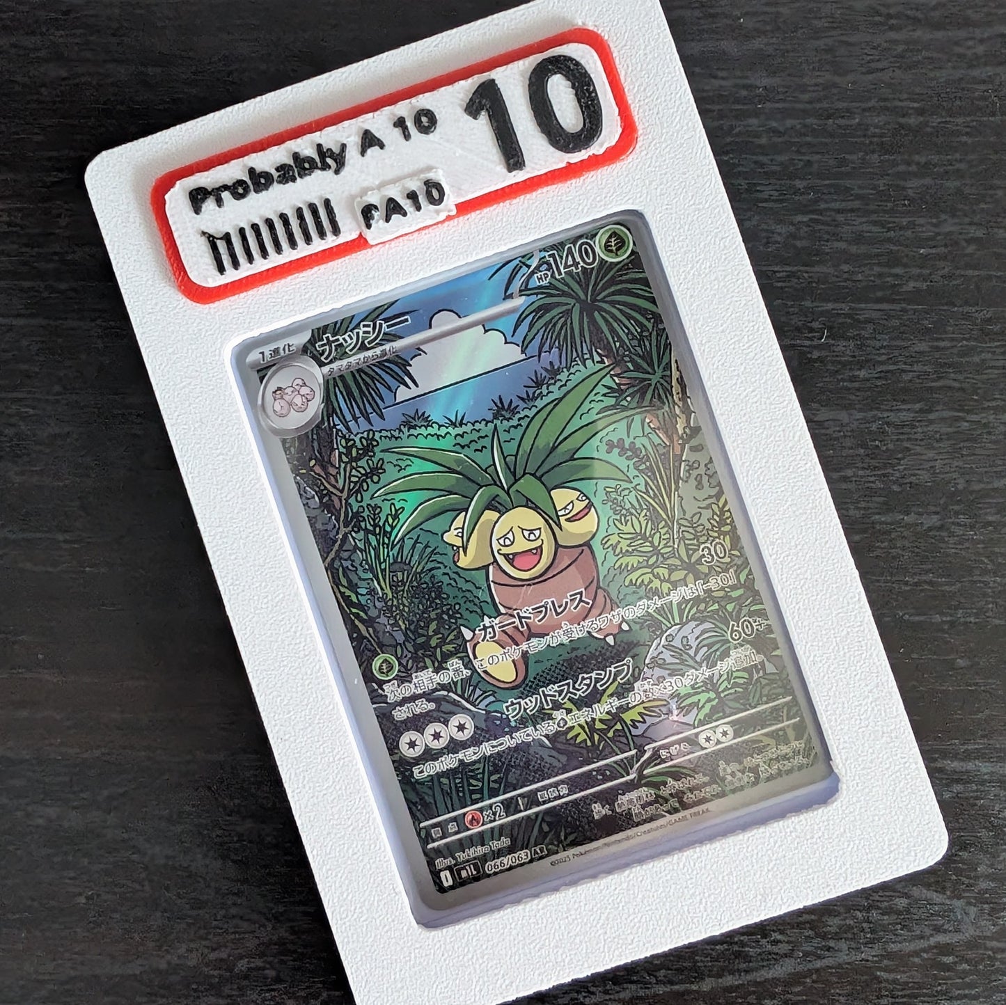 TCG TOP LOADER CASE - PA10