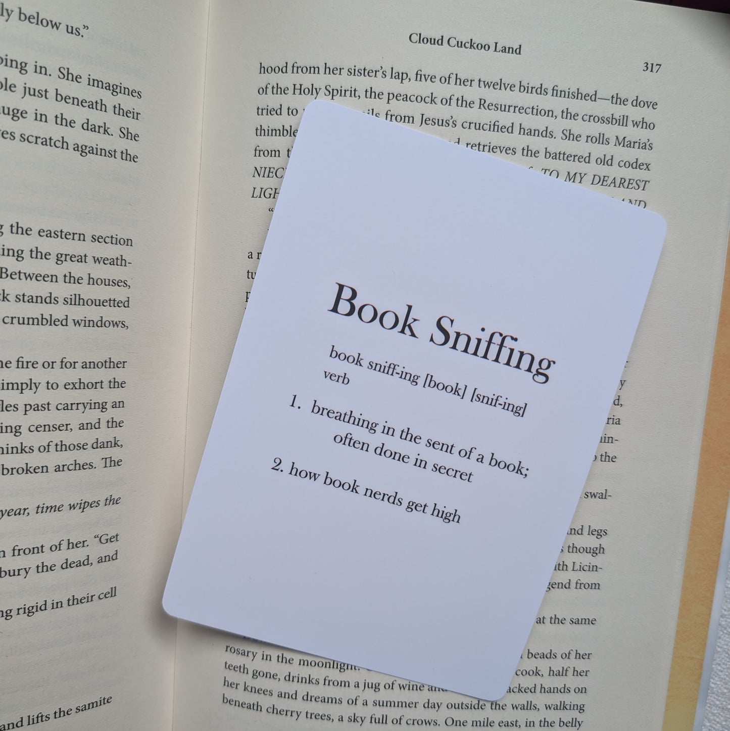 BOOK SNIFFING - ART PRINT/ KINDLE INSERT