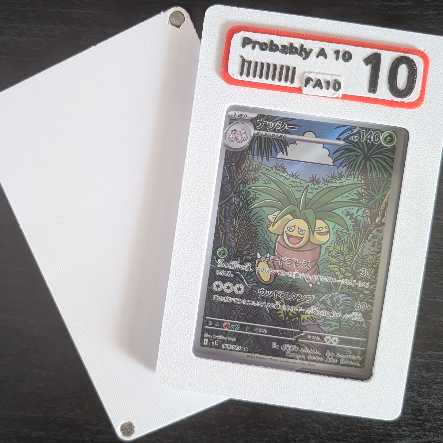 TCG TOP LOADER CASE - PA10