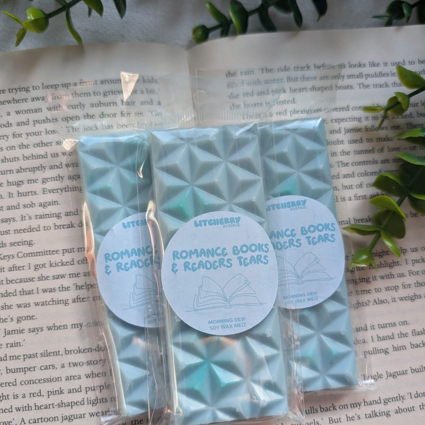 ROMANCE BOOKS & READERS TEARS - SOY WAX MELTS | LITCHERRY AVENUE X TANYPRINT