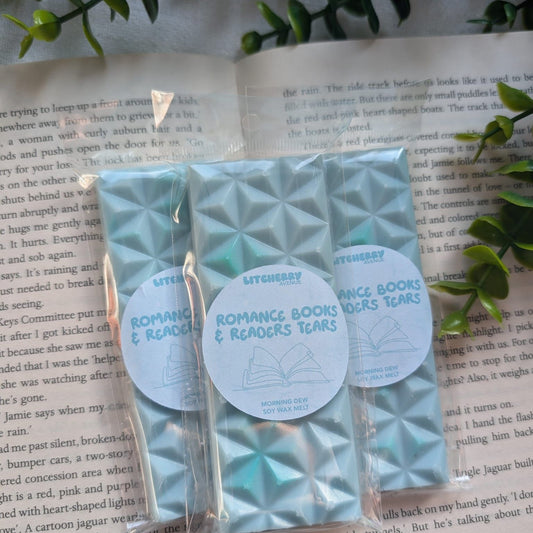 ROMANCE BOOKS & READERS TEARS - SOY WAX MELTS | LITCHERRY AVENUE X TANYPRINT